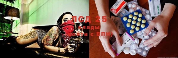 мяу мяу мука Михайловск