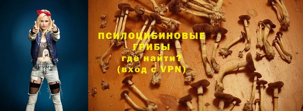 мяу мяу мука Михайловск
