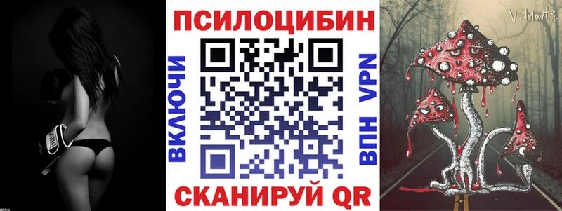 Купить  Ардатов  Галлюциногенные грибы Cubensis 