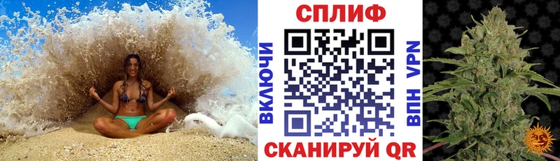 Купить закладки  Ардатов  МАРИХУАНА White Widow 